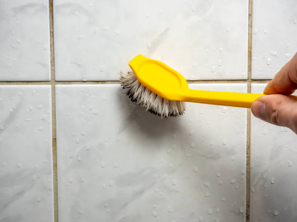 Best Home Mold Removal  in Horse Shoe, NC