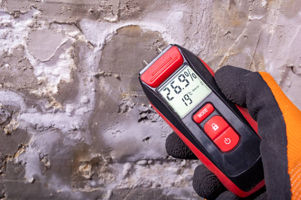 Best Professional Mold Removal  in Horse Shoe, NC